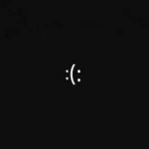 Meet your Posher, Damain